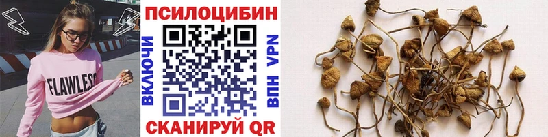 Галлюциногенные грибы Cubensis  Улан-Удэ 